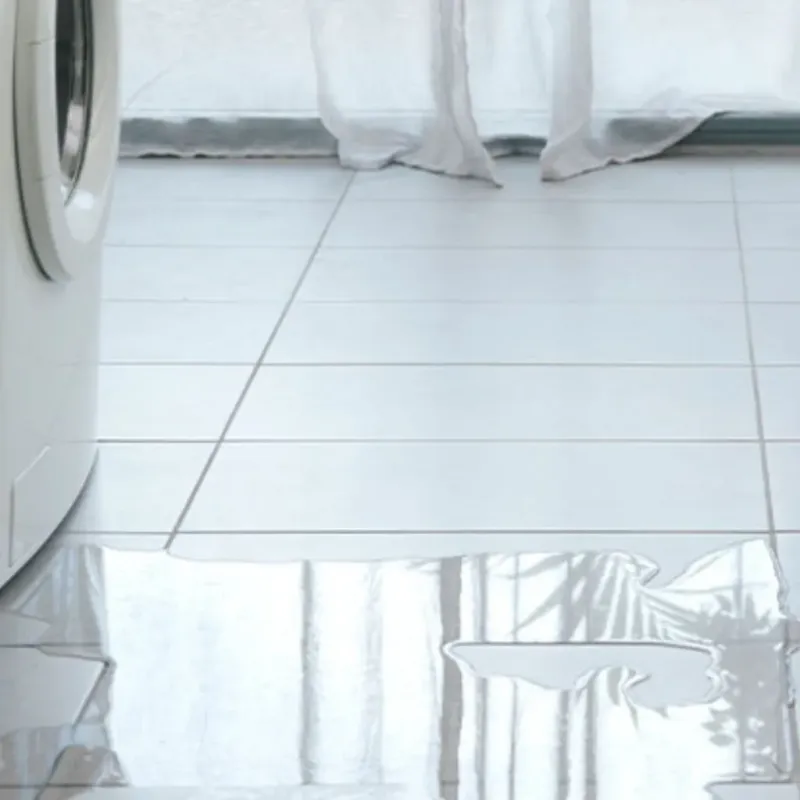 Appliance Leak Cleanup in Montrose, MI