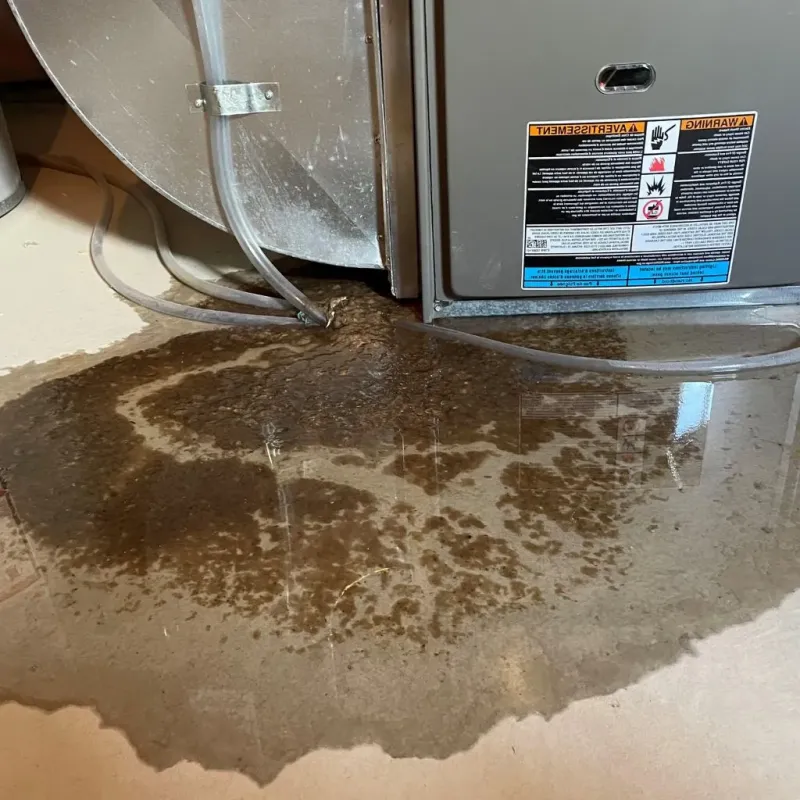 Pipe Burst and Leak Restoration in Montrose, MI