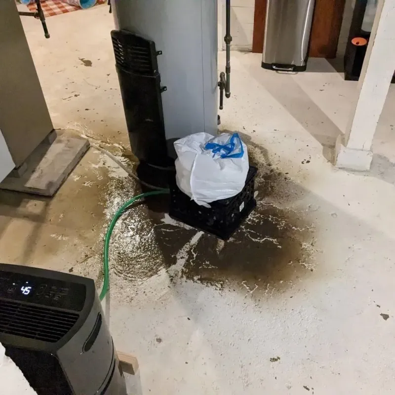 Sewage Backup Cleanup Service in Montrose, MI